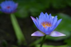 岳麓區(qū)制作網站基本步驟有哪些